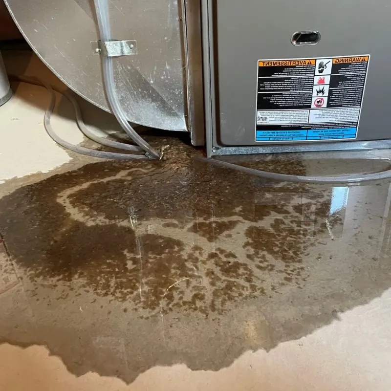 Pipe Burst and Leak Restoration in Merritt Park, NY